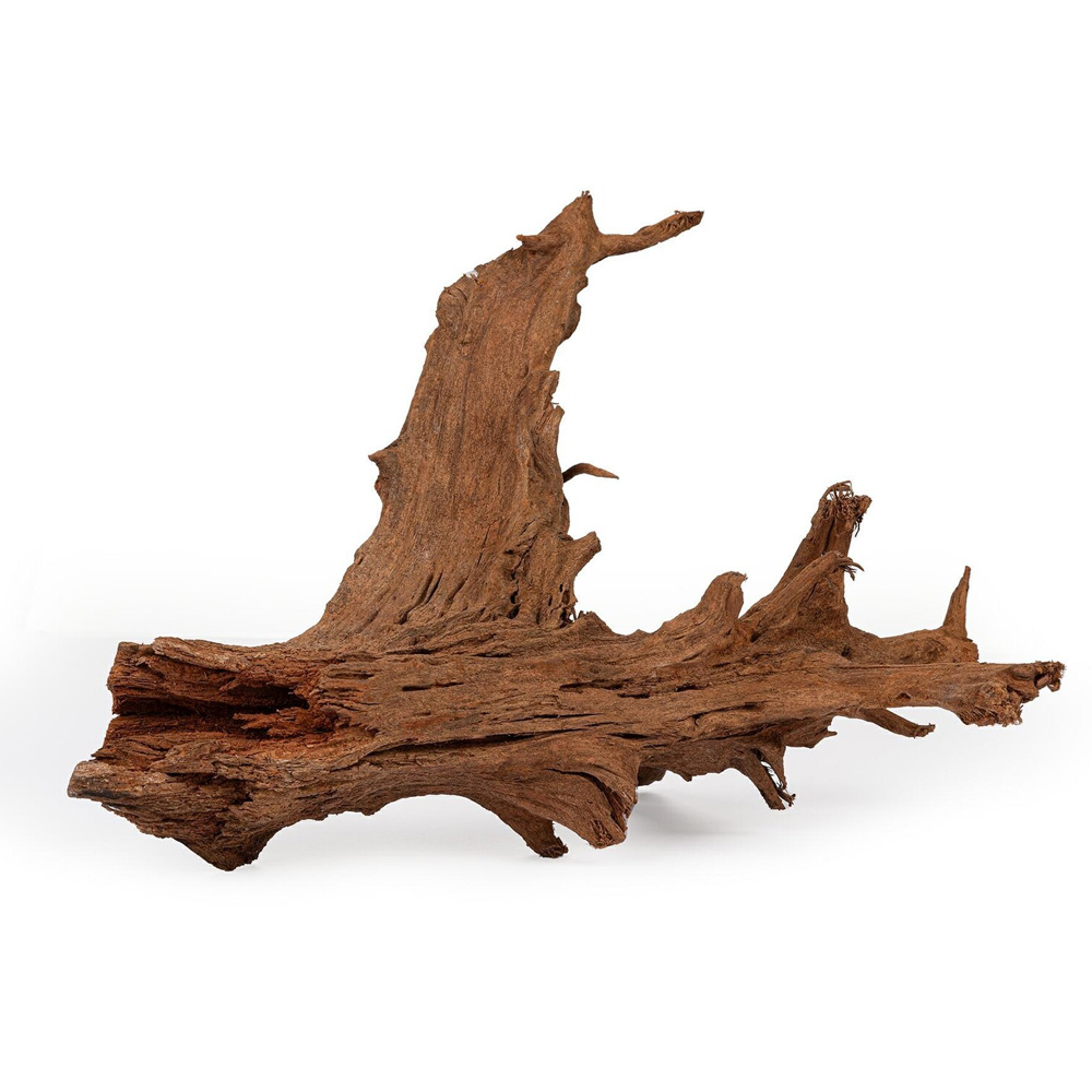 Happet Korzeń Mangrowca Mangrowiec L 40-60cm Ozdoba Naturalna